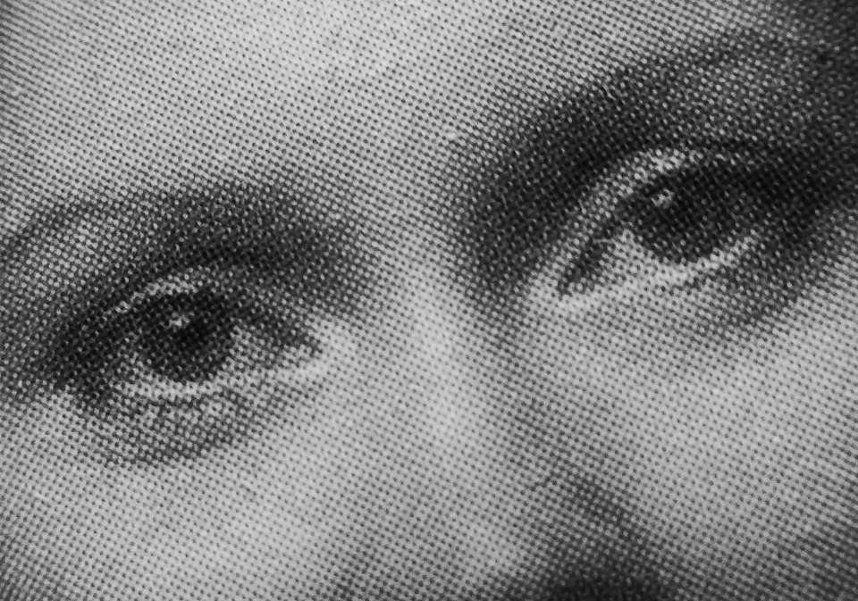 CountrysideBen's tweet photo. Day 6 of #lockdownlens

Whose eyes are these? https://t.co/7GbtoBkgWU