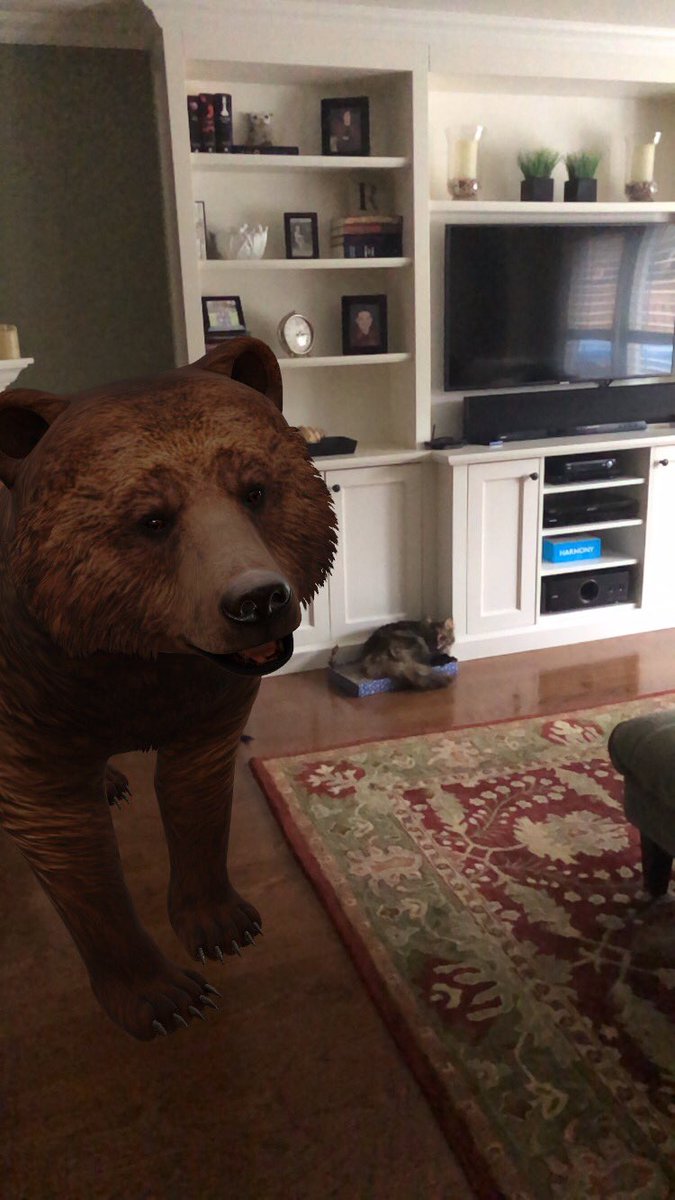 LWelch110's tweet photo. @KatieLepcha @HeritageGlenPS Our cat was pretty unfazed by the giant bear in the living room! https://t.co/EQivK0HzdO