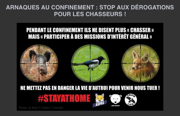 laurentbaheux's tweet photo. Des citoyens verbalisés pour assistance vitale portée aux animaux alors que des chasseurs ont dérogation injustifiable pour tuer sangliers, détruire oiseaux et autres espèces jugées indésirables
Demandons l’arrêt immédiat de cette justice à deux vitesses
https://t.co/ufULOh3ywW https://t.co/J7EUfEEkBn
