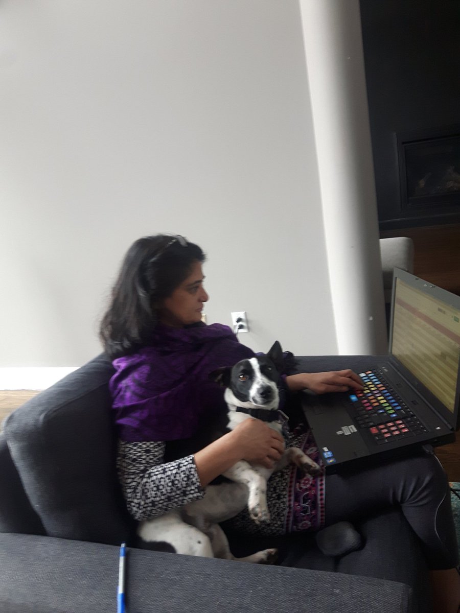 From the newsroom to my living room. My only colleague now is four-legged. #WorkFromHome