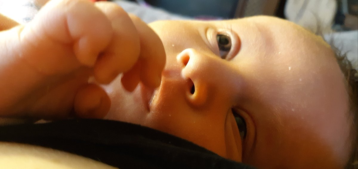 JackieReese's tweet photo. @mariah96jo No fun!! Make yourself snack frequently. But before you know it, baby snuggles will be here!! https://t.co/fB9nOL6dt0
