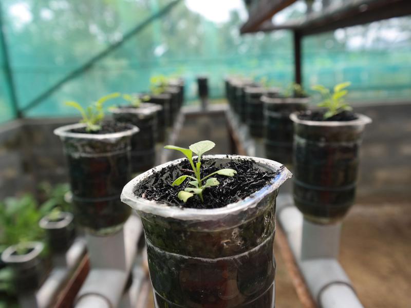 info_aakhon's tweet photo. #tecnicaidroponica #km0 #startupdelbiologico #sostenibilità #biologicoincittà - l'articolo selezionato di oggi: Tecnologia e sostenibilità con le start up del biologico.
https://t.co/ioNqvBg0Jf https://t.co/7Le5TrOg00