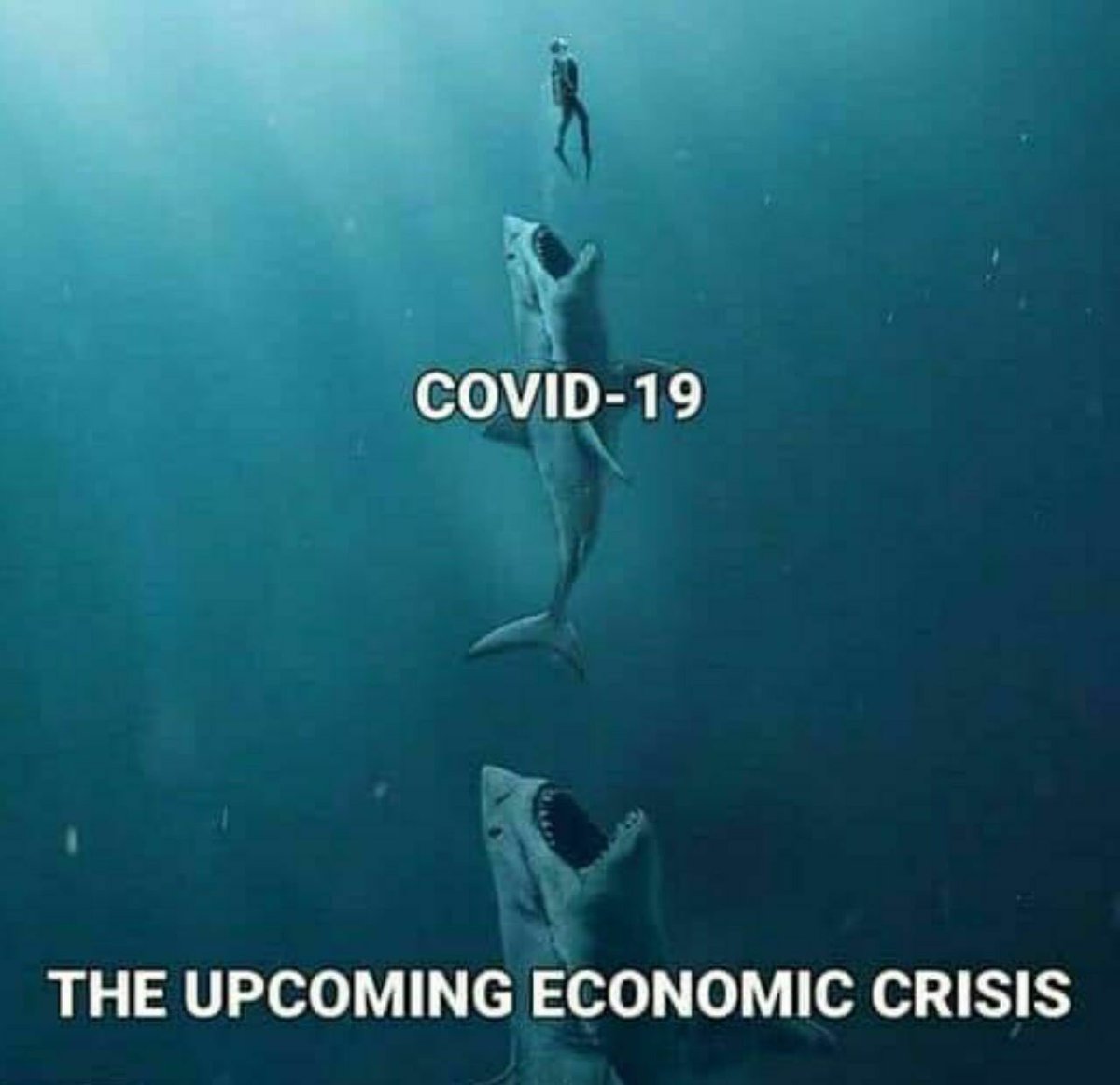 ElCriptoPana's tweet image. Literal