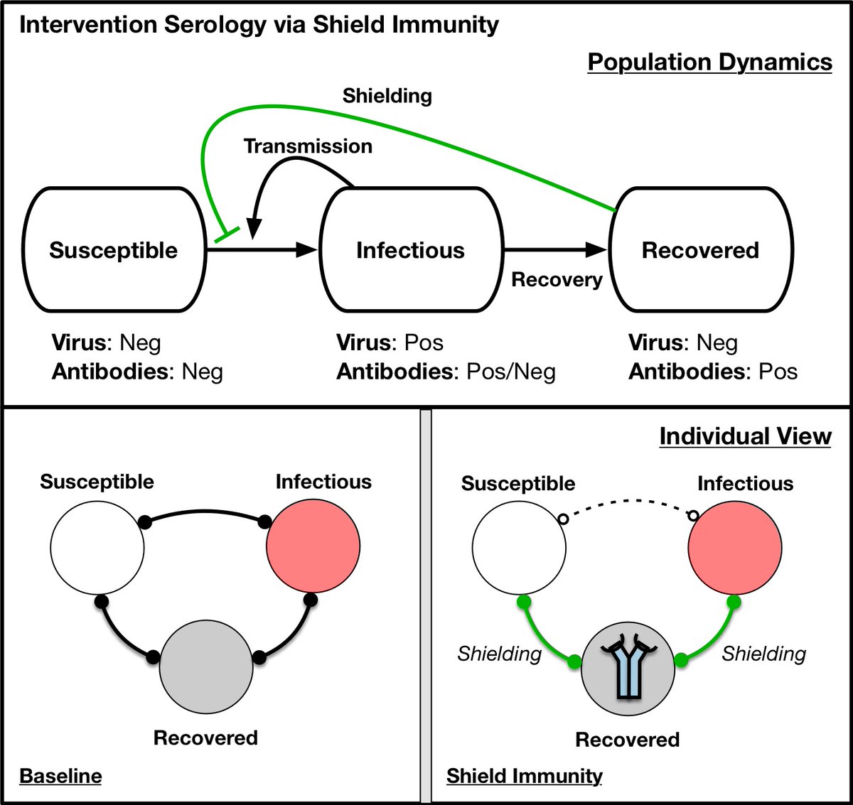 This thread will take a few steps, and begins with a premise:Testing for viral shedding (via PCR) is critical and we need more of it (far more), but it's not enough.Instead, we need to implement targeted and large-scale serological surveys to test for antibodies...1/15