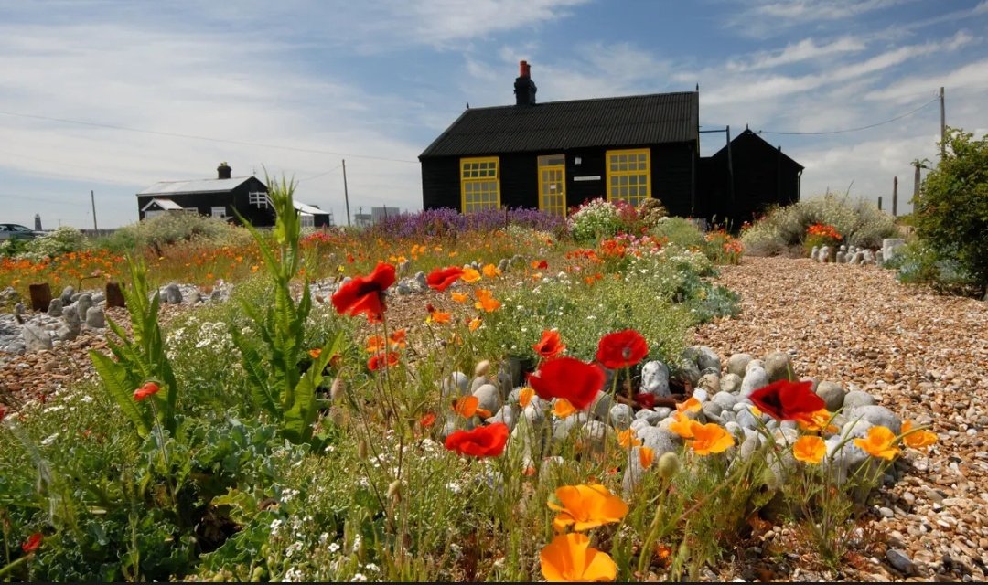 Some #goodnews for you this evening. A £3.5 million crowdfunding campaign to save Derek Jarman's idyllic home in #Dungeness, in partnership with our very own <a href="/CreativeFstone/">Creative Folkestone</a> as well as <a href="/Tate/">Tate</a> and <a href="/artfund/">Art Fund</a>, has been successful! 🎉 #folkelife
•
📸: Robert Bird