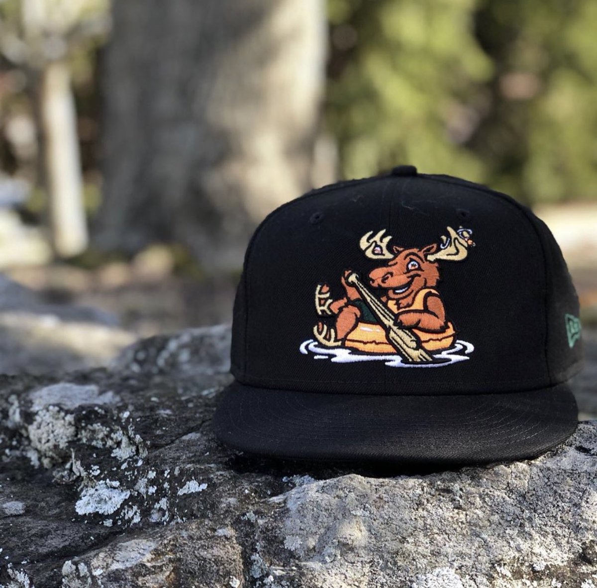GoPaddleHeads's tweet photo. Thanks for tagging us in, @wmwhitecaps

1: The Badge: 🏊‍♂️
2: The Stadium 🏟️
3: The Players ⚾️
4: The Best Fans! 🎉

We call on: Dad - @Dbacks, Big Bros - @VisaliaRawhide &amp; @Aces, and PBL friends @ifchukars 
#MiLB #SaveMyTeam https://t.co/bVtk15z5fn
