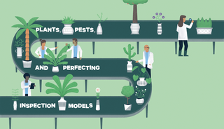 treeSMARTtrade's tweet photo. USDA-APHIS may switch to risk-based inspection of live plant imports, according to an article by @cole_n_martin in @ResourcesMag (https://t.co/UDmRO4xVvb). But what we really need is to prohibit imports of plants that put our native trees at great risk. #TreeSMARTTrade https://t.co/ctGlBm0IQr