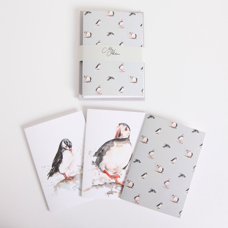 ArtMegh's tweet photo. Writing notes to people couldn’t be more important right now. 
All sparkly, fresh and new are our note card sets ready for you post out to your loved ones. 
Pack of 3 high quality notecards 
6 different packs. Something for everyone! @greetingstoday @GCAUK #COVID19 @ArtMegh https://t.co/Km2OLRPvsP