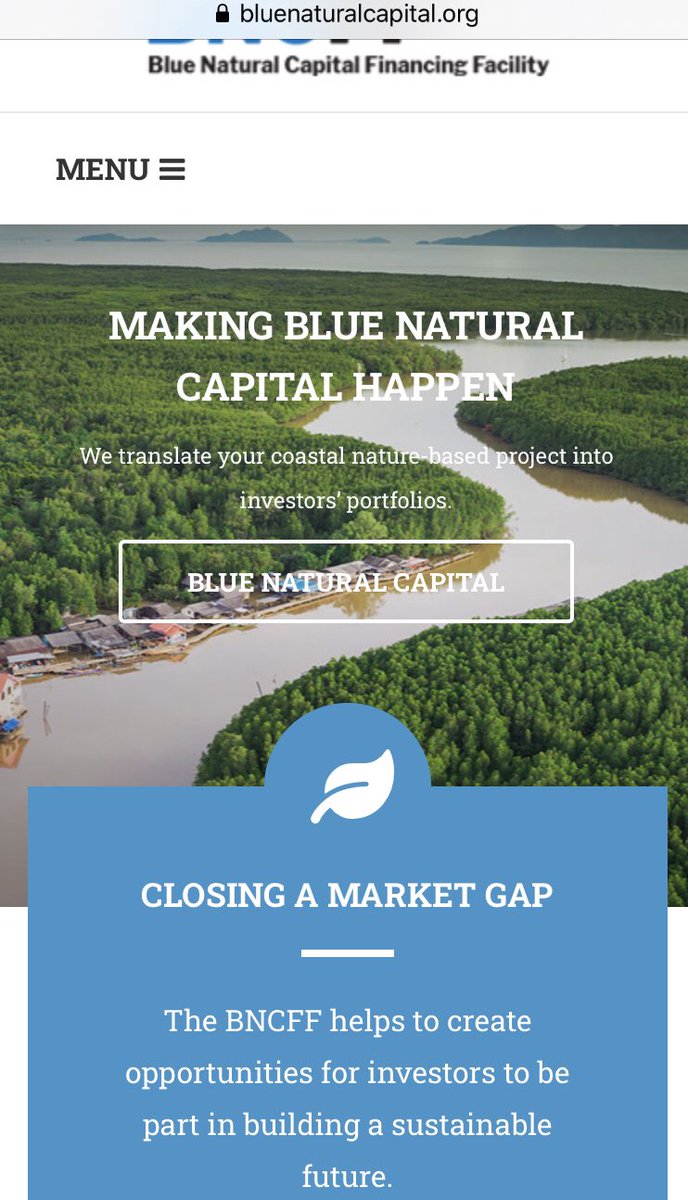 USCarbonProgram's tweet photo. Blue carbon project funding financing opportunities available at https://t.co/F2pax3ruWd @IUCN #bncff https://t.co/JftjmeHCAm