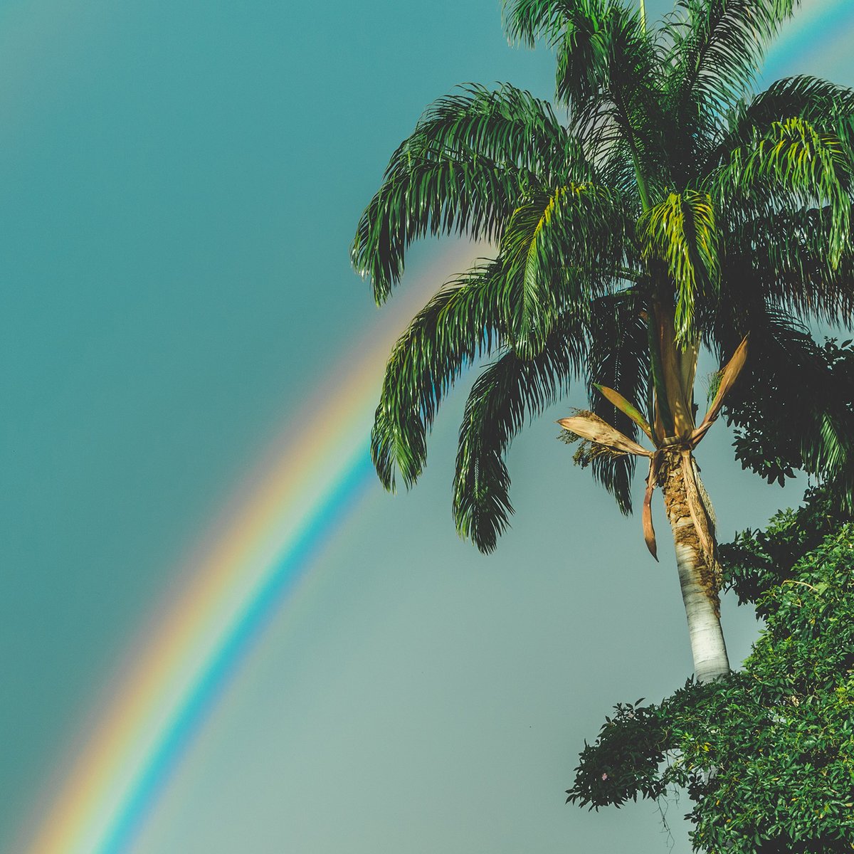 freshproducenow's tweet photo. You can't have a #rainbow without a little rain - happy #NationalFindARainbowDay!

📸: @JDRincs https://t.co/VnN4rN9hH4