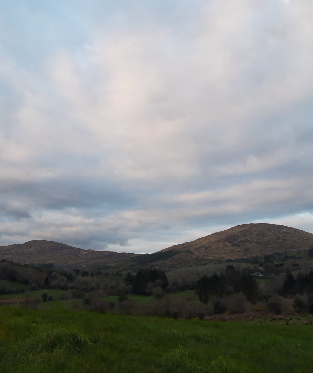 JuliaMayC's tweet photo. Grianghraf an lae 1/7. Thanks @nell_ni_ch as an ainmniú 😉 https://t.co/X8AweLWYRG