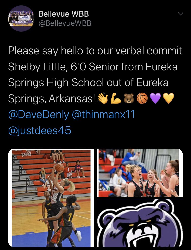 LadyHighlanderBasketball tweet media