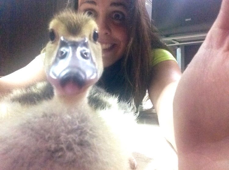 cuentosdeunmelo's tweet photo. Os voy a contar la historia de amor puro entre un perro pato y su dueña. Sí,  confirmo que soy la dueña y está basado en hechos reales...

⬇️Abro hilo https://t.co/7QKG7RfbOA