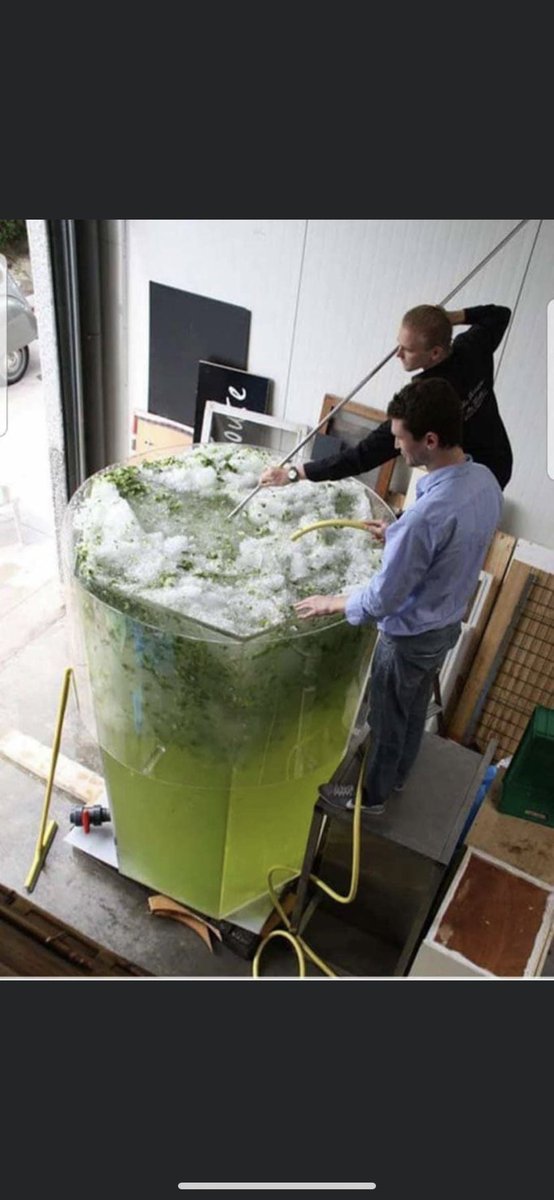 That first mojito after quarantine !