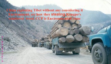 TibetPeople's tweet photo. @chinaxizang86 @tibetimes @VOT_Chinese_ @tibet_online When it Comes to #environment we see #China as #EnvironmentalTerrorist, it's not just terrorizing Tibetans but also Chinese people, they don't care about #Pollution or #ClimateChange, destroying all for few #Economy gain. https://t.co/Olc7yTPhLC
#FreeTibet
#CCP
#西藏
#青藏高原 https://t.co/zJdir2dT3E