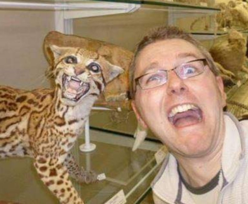 TheMuseumOfLiz's tweet photo. No idea who this lot are, popping up in my facebook feed from 5 years ago, cluttering up the @CamUnivMuseums with their silly faces.... https://t.co/ngqF1csTqo