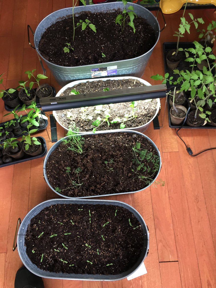 GarnandDan's tweet photo. They’re ready to go outdoors, I think the wife is ready for that too https://t.co/wLououGzIh