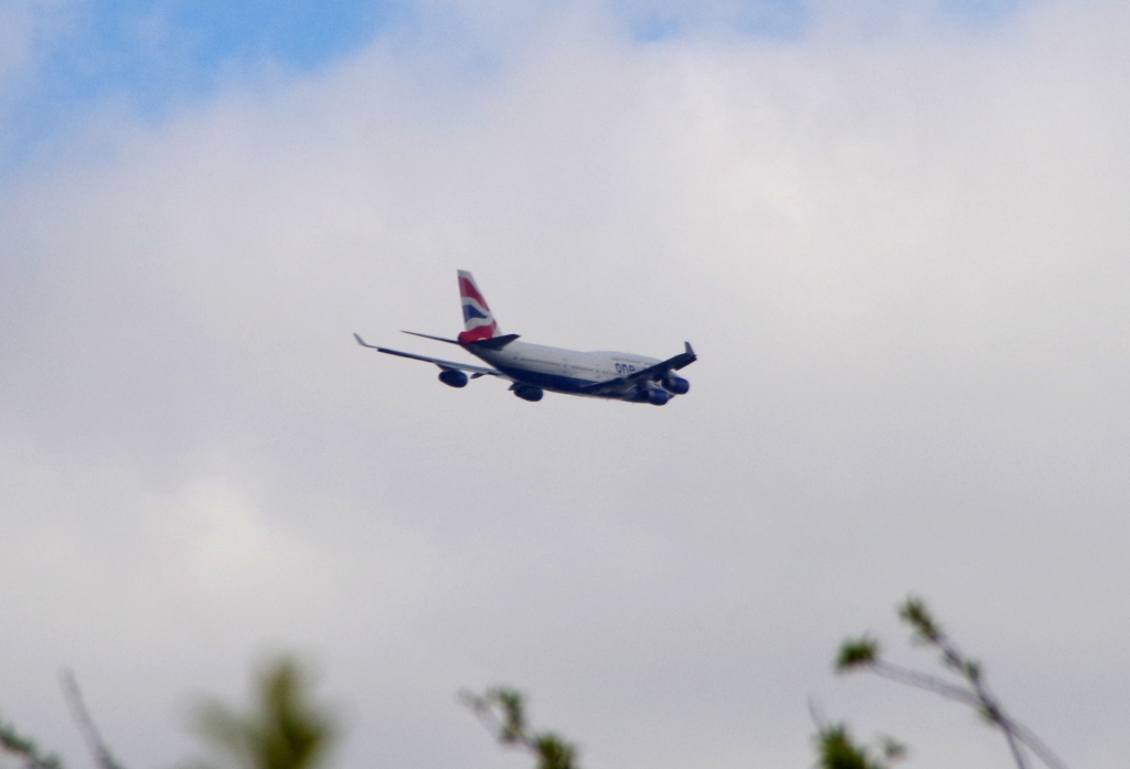 David Morris tweet media