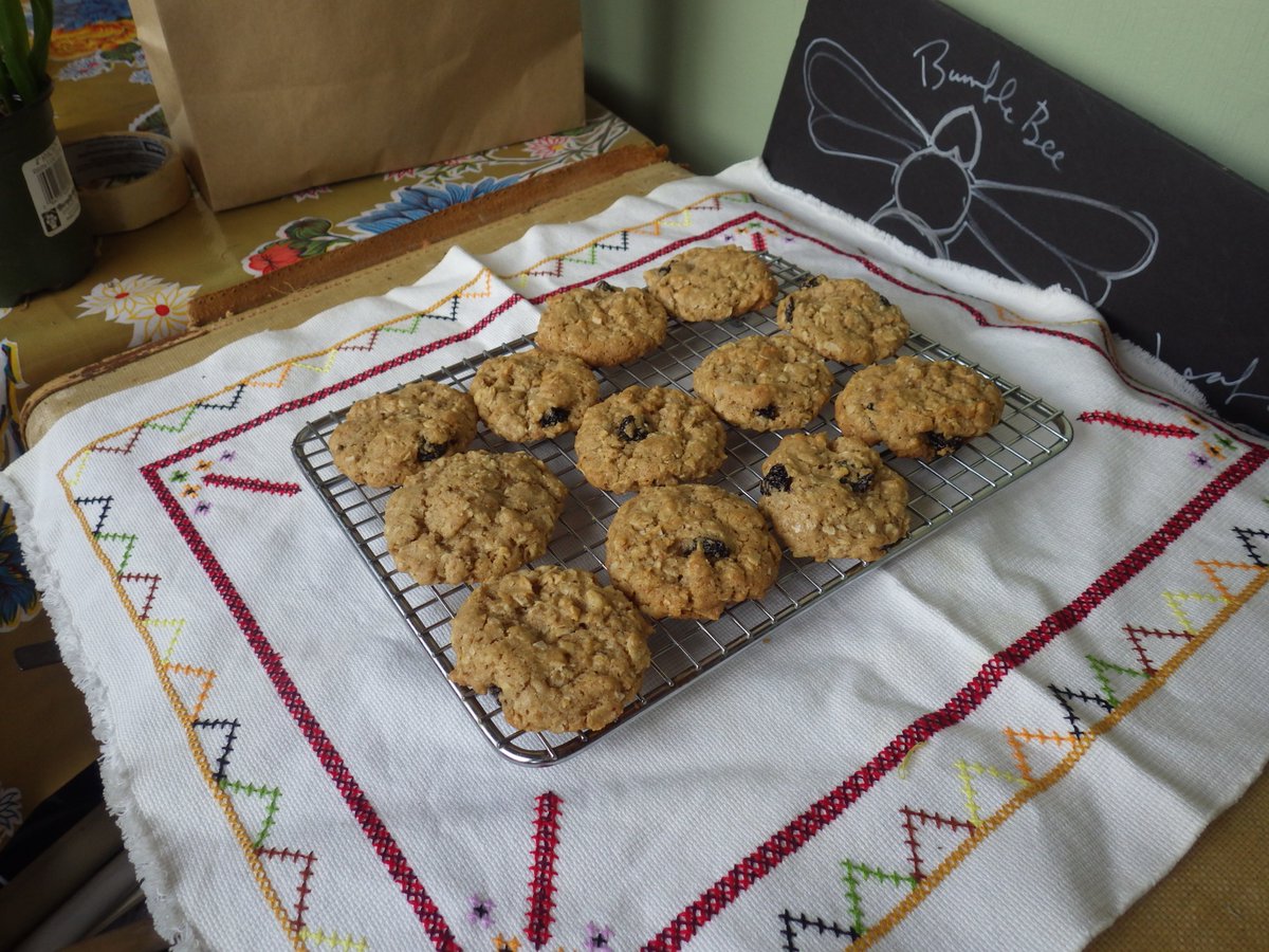zucchinibeemama's tweet photo. I baked oatmeal walnut cookies with sour cherries. Putting one cherry on top of each made them look like boobs, so I folded the cherries in. If you want your cookies to look like boobs, who am I to judge?
#viveledifference #vivelarevolution https://t.co/XfNdOF2Cxi