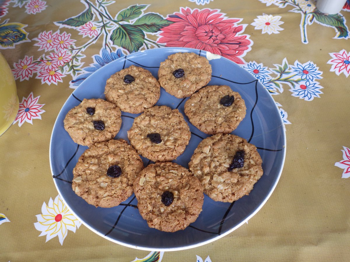 zucchinibeemama's tweet photo. I baked oatmeal walnut cookies with sour cherries. Putting one cherry on top of each made them look like boobs, so I folded the cherries in. If you want your cookies to look like boobs, who am I to judge?
#viveledifference #vivelarevolution https://t.co/XfNdOF2Cxi