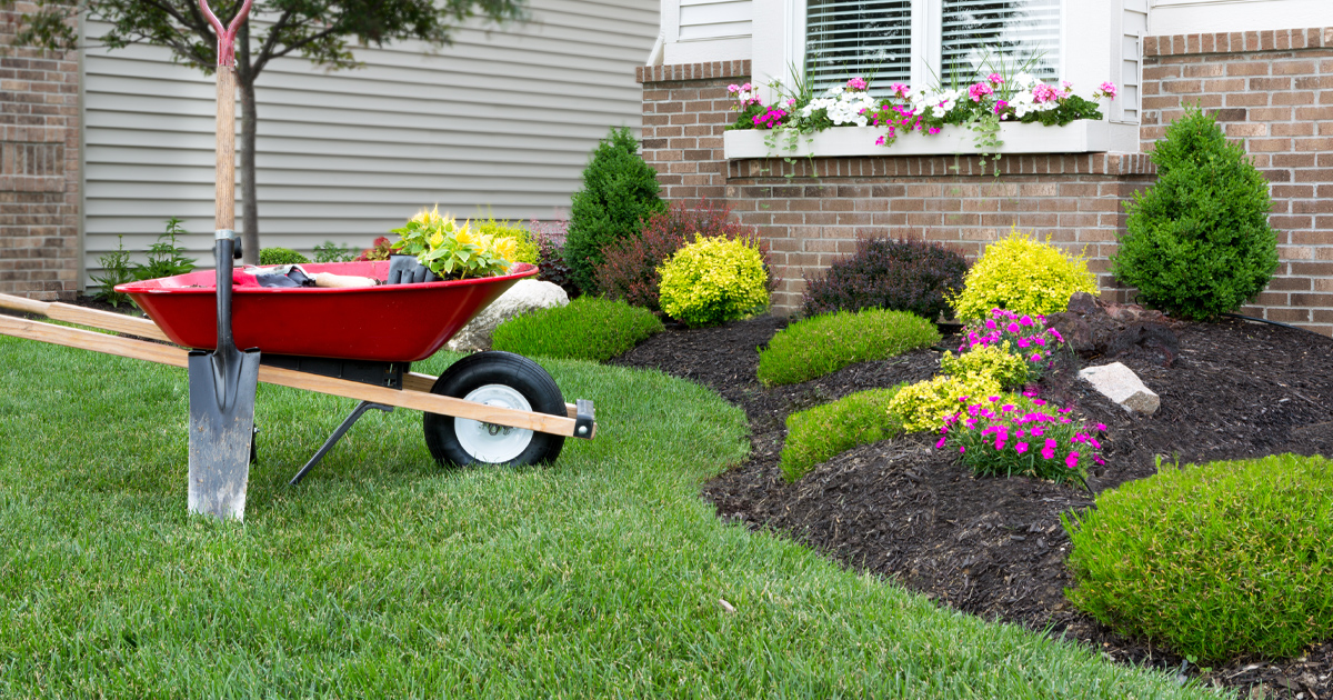 MowersDirect's tweet photo. Want to refresh your yard? We’ve got six tips for sprucing up your landscaping, and they’re all tasks you can do on your own. #PEDtips

https://t.co/ZOUcYSgprB https://t.co/uq9LrdnLkg