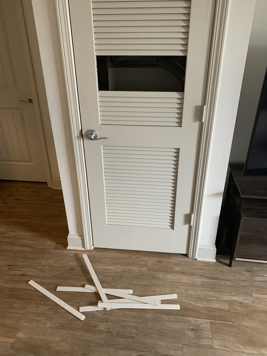 View image on Twitter