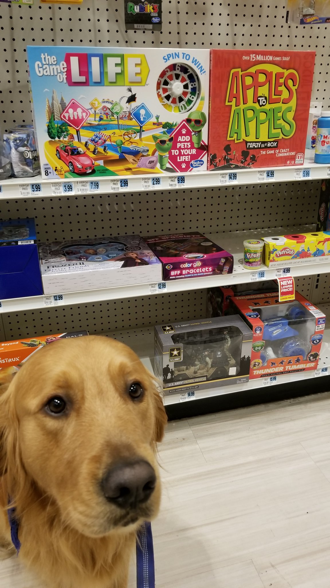 Trevor Donovan On Twitter Rite Aid Has Board Games If Only They Had Payday Loved That Game