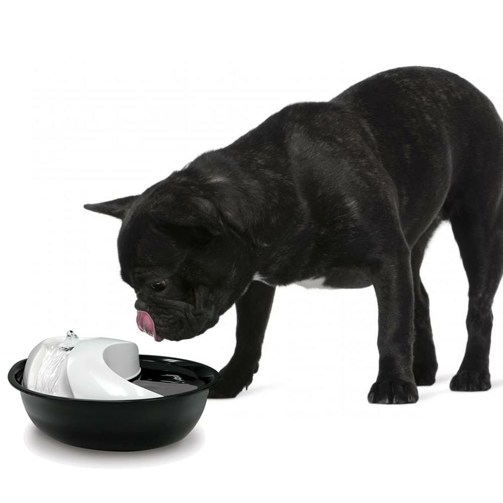 houndshire's tweet photo. Pet water fountain £24.99

*Affiliate product*

https://t.co/OJzvkDcDcN

#leeds #dogs #TheLockdown #TuesdayThoughts #tuesdayvibes #dogsofquarantine https://t.co/9JJ6MkmpL5
