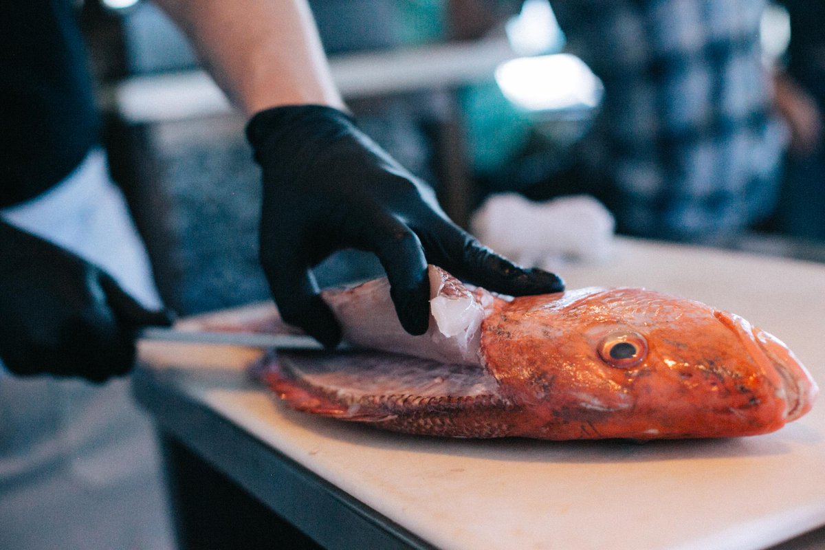 We’re cutting up some beautiful fresh seafood for y’all this week | Shop our market for offerings like ahi, red fish, snapper and salmon. Along with mussels, clams, oysters and TX gulf shrimp