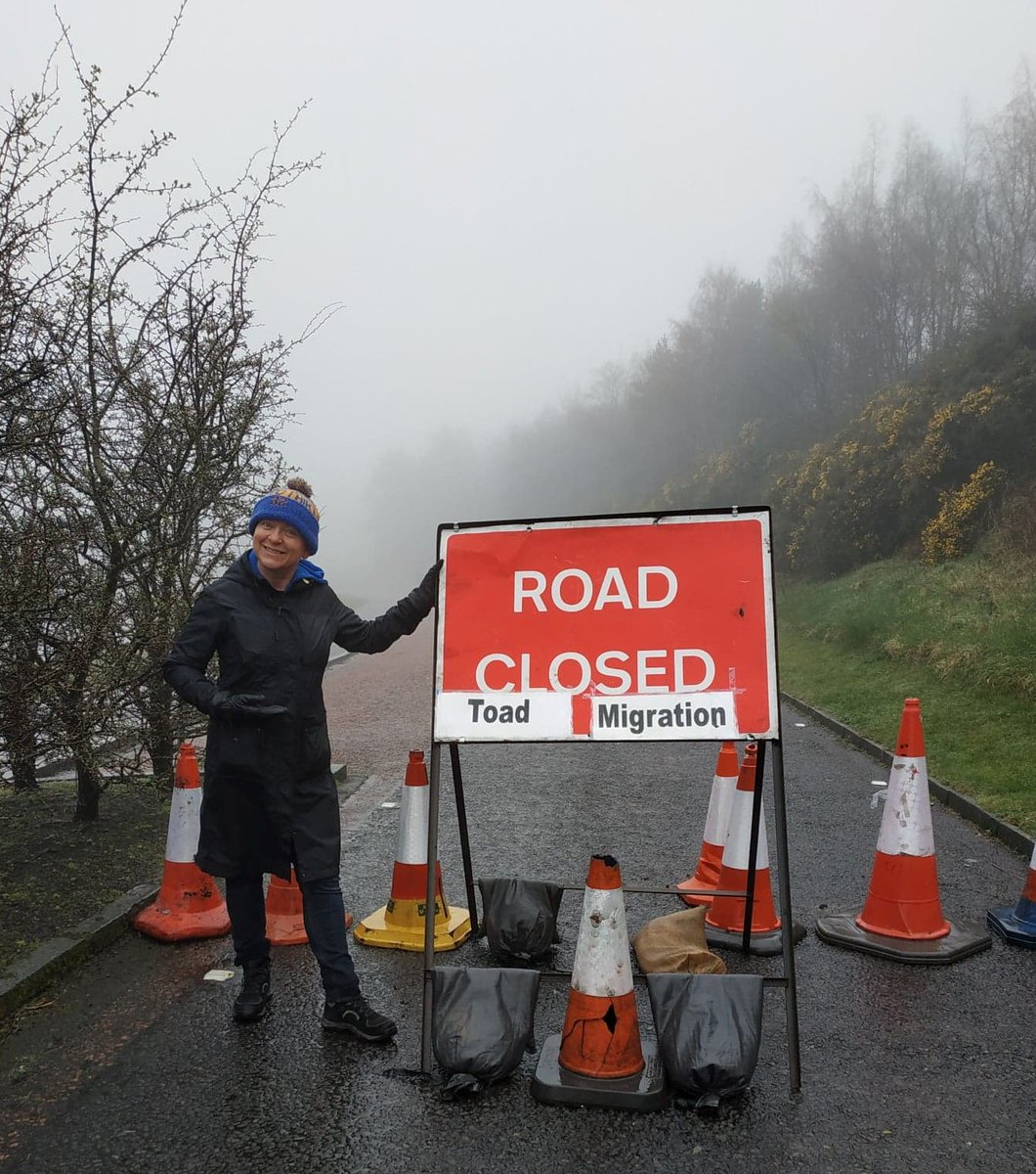 sallymiranda tweet media