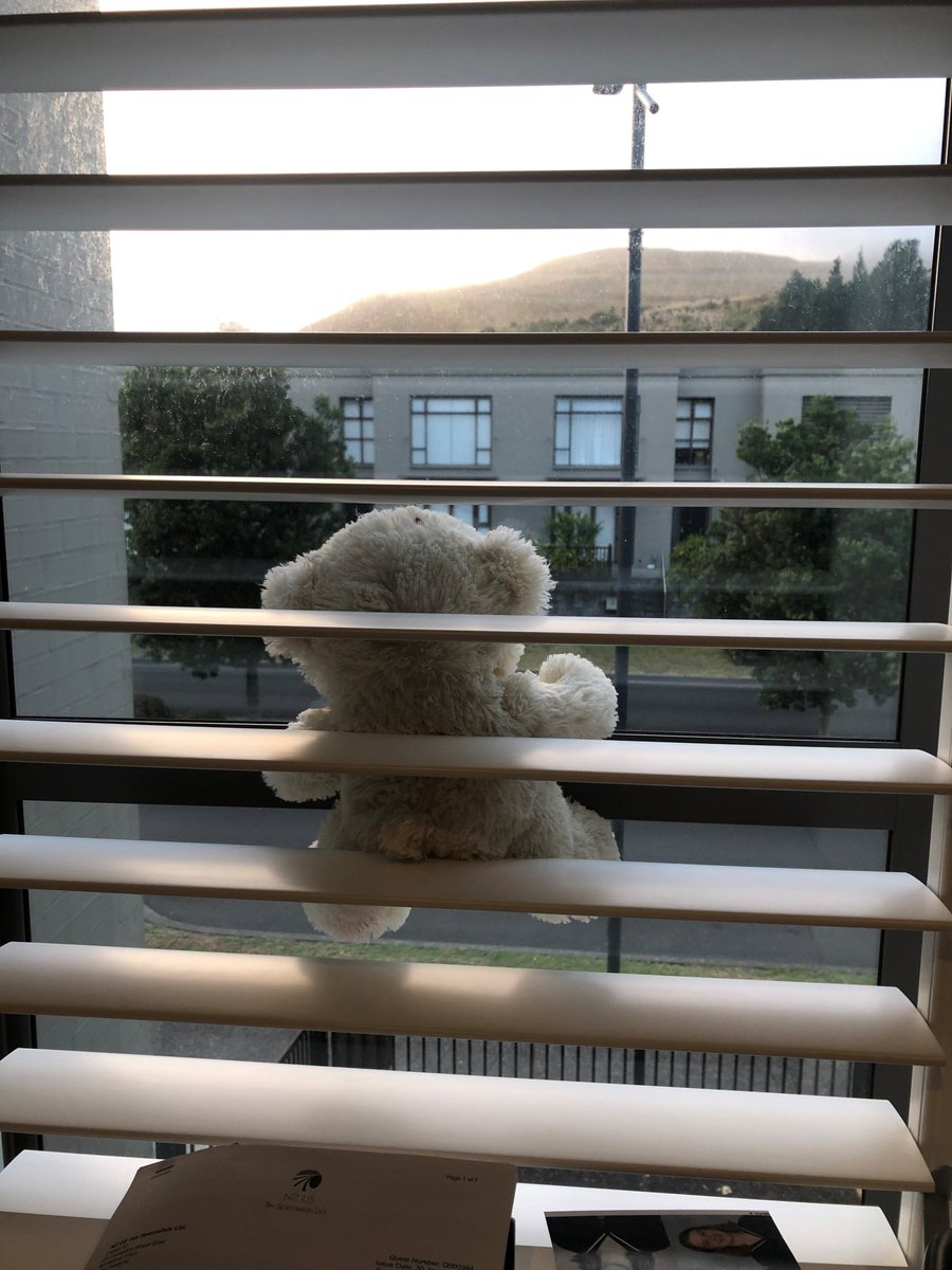 GatchellGina's tweet photo. New Zealand is currently under a complete lockdown. Many neighbourhoods are putting teddies in their windows to entertain the local children when they go out for a walk!
Here is the view from my home office #bearsfun #jacindaardern #NewZealand #BlessedAndGrateful https://t.co/kWGKah8imP