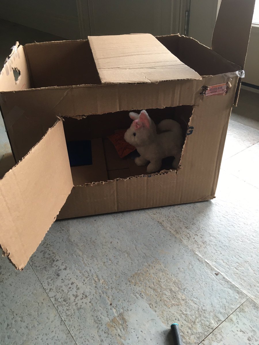 MrsSarahCassidy's tweet image. Today’s #LearnAtHome was all #playbased. Problem: cat needed a home. Solution: cardboard box. So much problem solving, communication, language, measuring, spatial reasoning. Bonus is we got to talk about our energy and tension when they felt frustration.