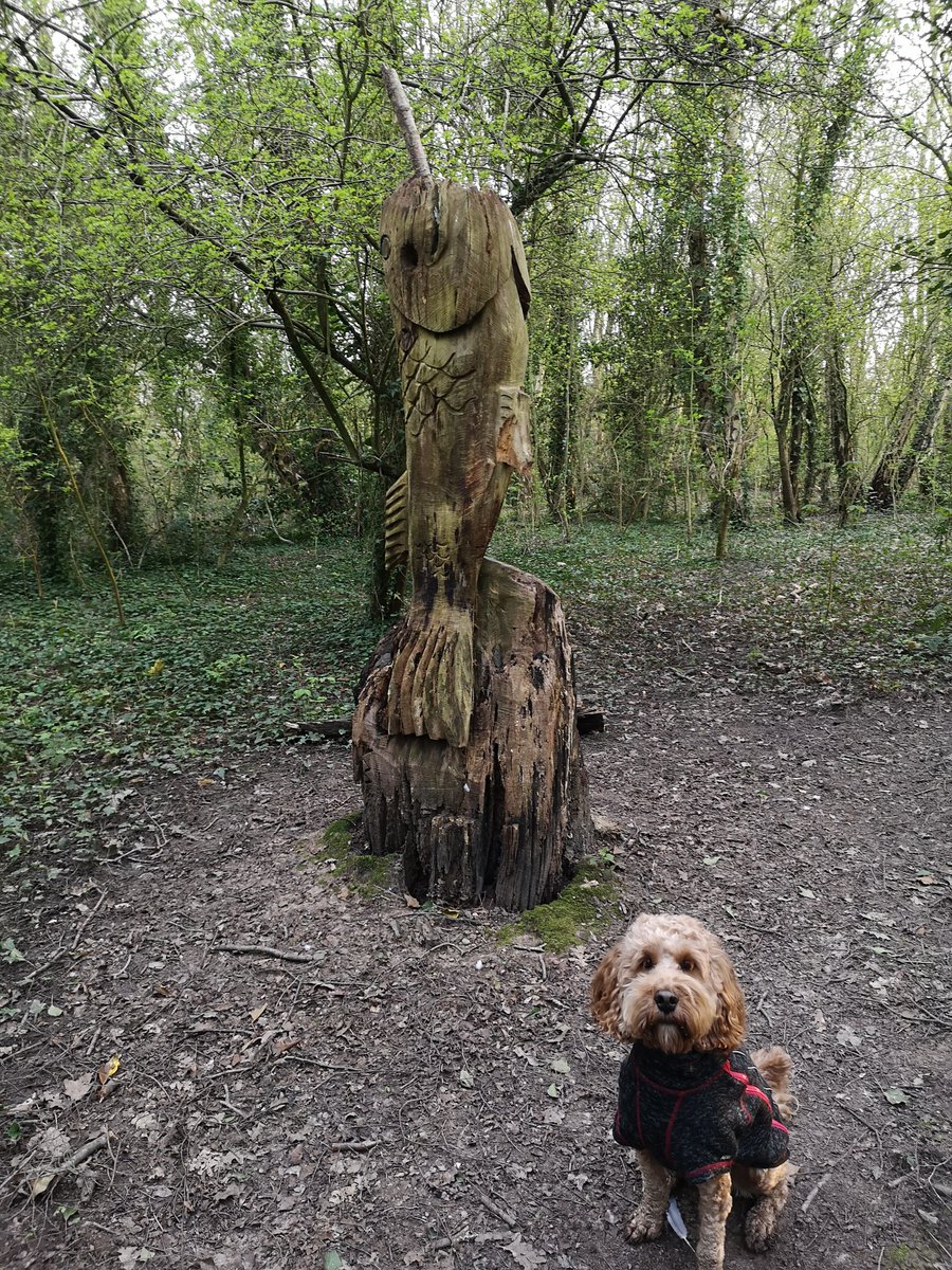 the_cockapoo's tweet photo. It's sad how much these sculptures have deteriorated in nearly three years! @LplLoopLine
#cockapoo
#dogsoftwitter
#HalewoodTriangle https://t.co/WTxNv4mnWx