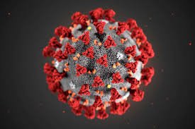 reporters_arewa's tweet photo. BREAKING: Nigeria’s coronavirus cases rise to 139 as Lagos, FCT record new infections
Four new cases of #COVID19 have been reported in Nigeria – three in the FCT and one in Lagos. With this, the total number of confirmed cases in the country has risen to 139.
#COVID19 , #NDCD https://t.co/FWb0Sa5e1J