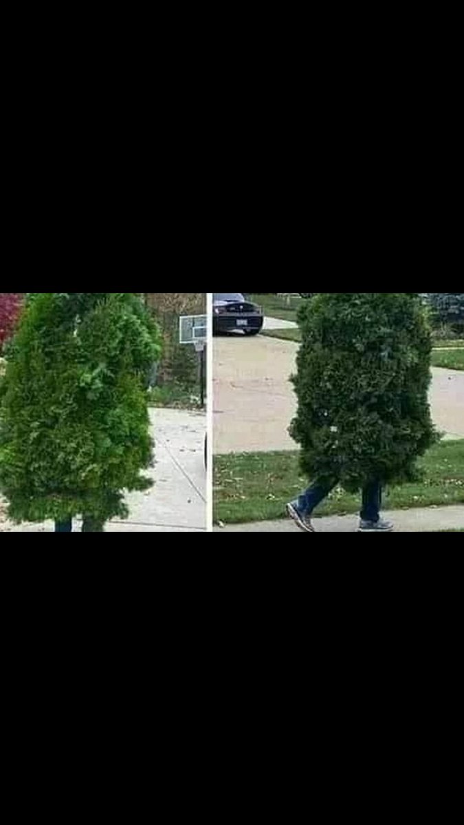 65 yaş üstü için yeni kamufle ağaç protifimiz geldi.artik zabita polis yakalanmasına son.irtbat icin msj yaza bilirsiniz