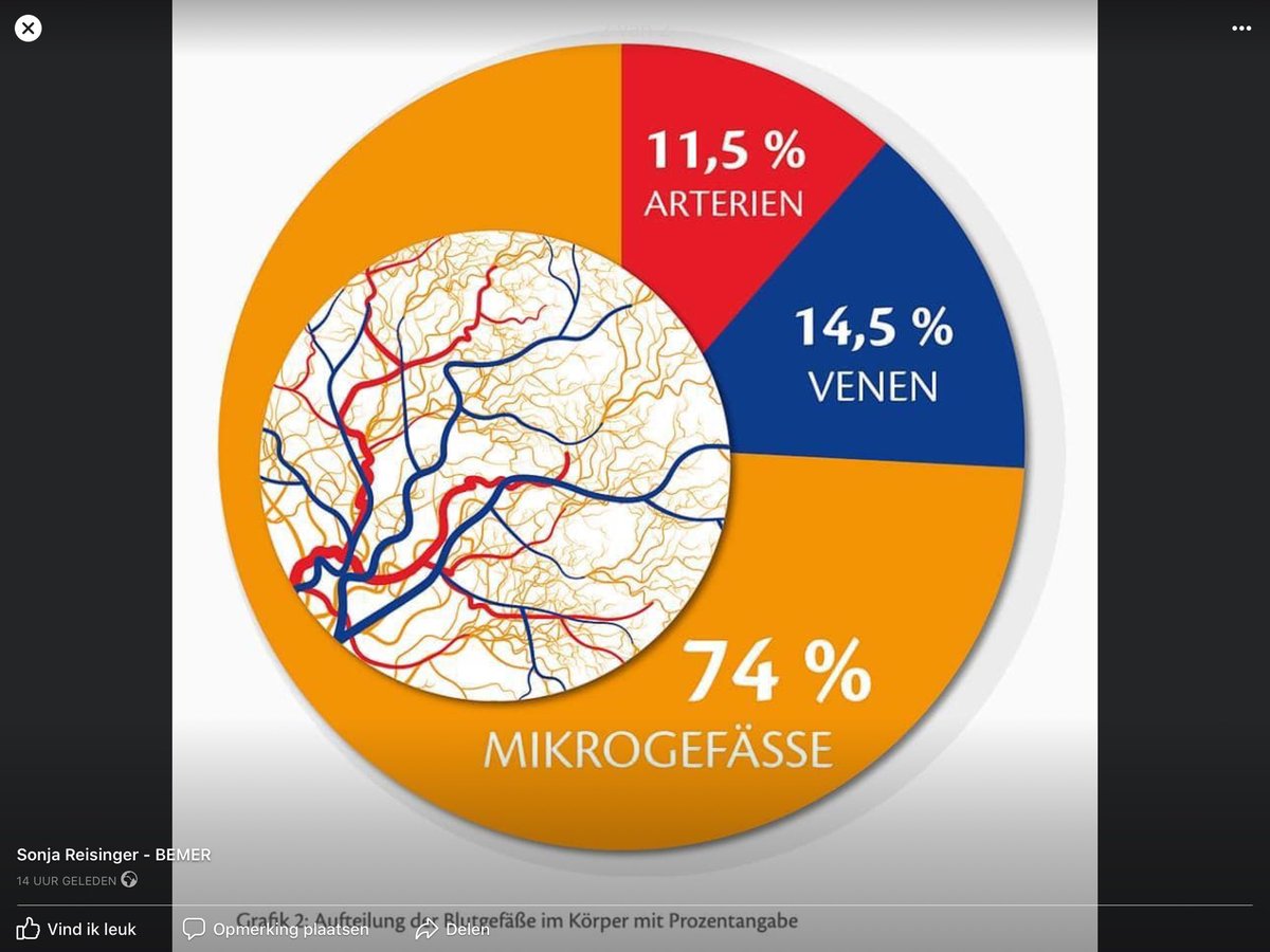 Scheervd's tweet image. 