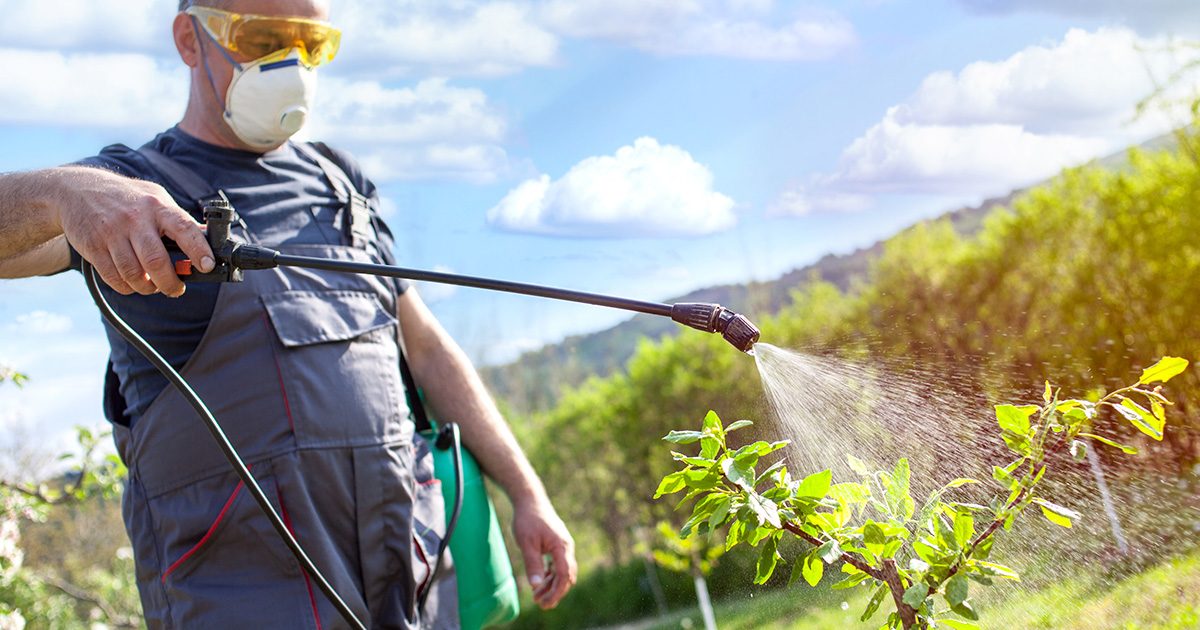 MowersDirect's tweet photo. Whether you’re applying fertilizer or pesticide, a sprayer can make the job easy. Find the right kind for your property with our Lawn Sprayer Buyer’s Guide!

https://t.co/Rg4UfB1y12 https://t.co/m9jrWVfkEO