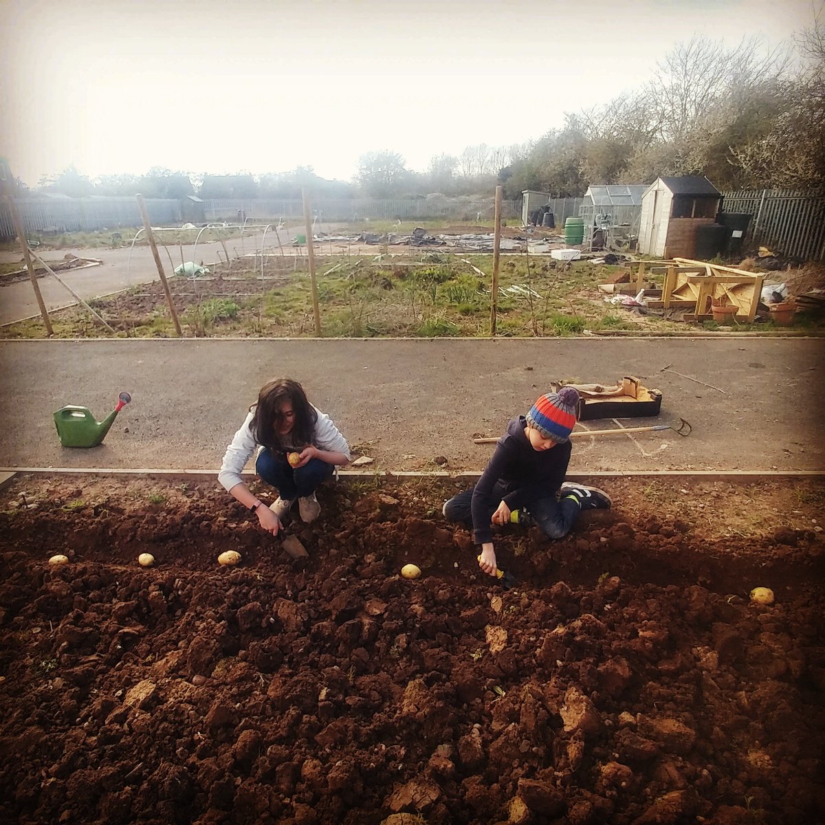 My two planting some potatoes today #TheCookeryKitchen #homeschooling #Homegrown #TheLockdown