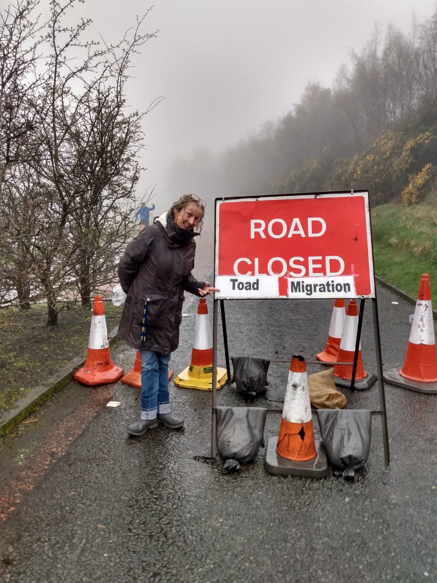 sallymiranda tweet media