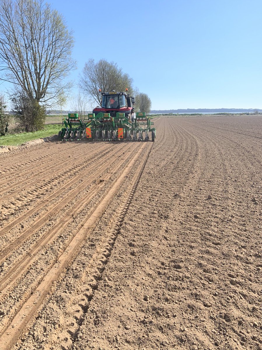 William Wrinch Farms tweet media