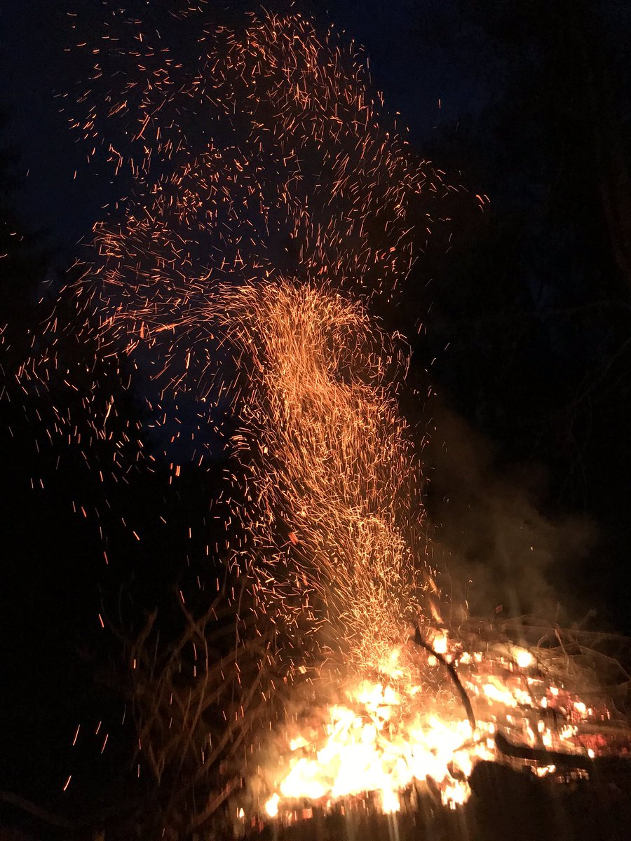 grj243's tweet photo. A burning desire to get home for #supper #fulldays #woodlandmanagnent #lettingthelightin #thatwilldodonkey https://t.co/ilZ18RipH7