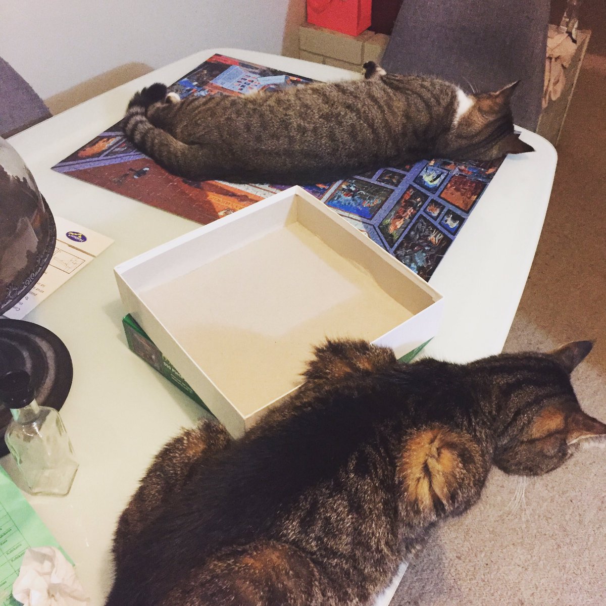 HillGunna's tweet photo. Puzzle time during lockdown - some help arrived but was not as helpful as they thought! https://t.co/5gaX5igPFx