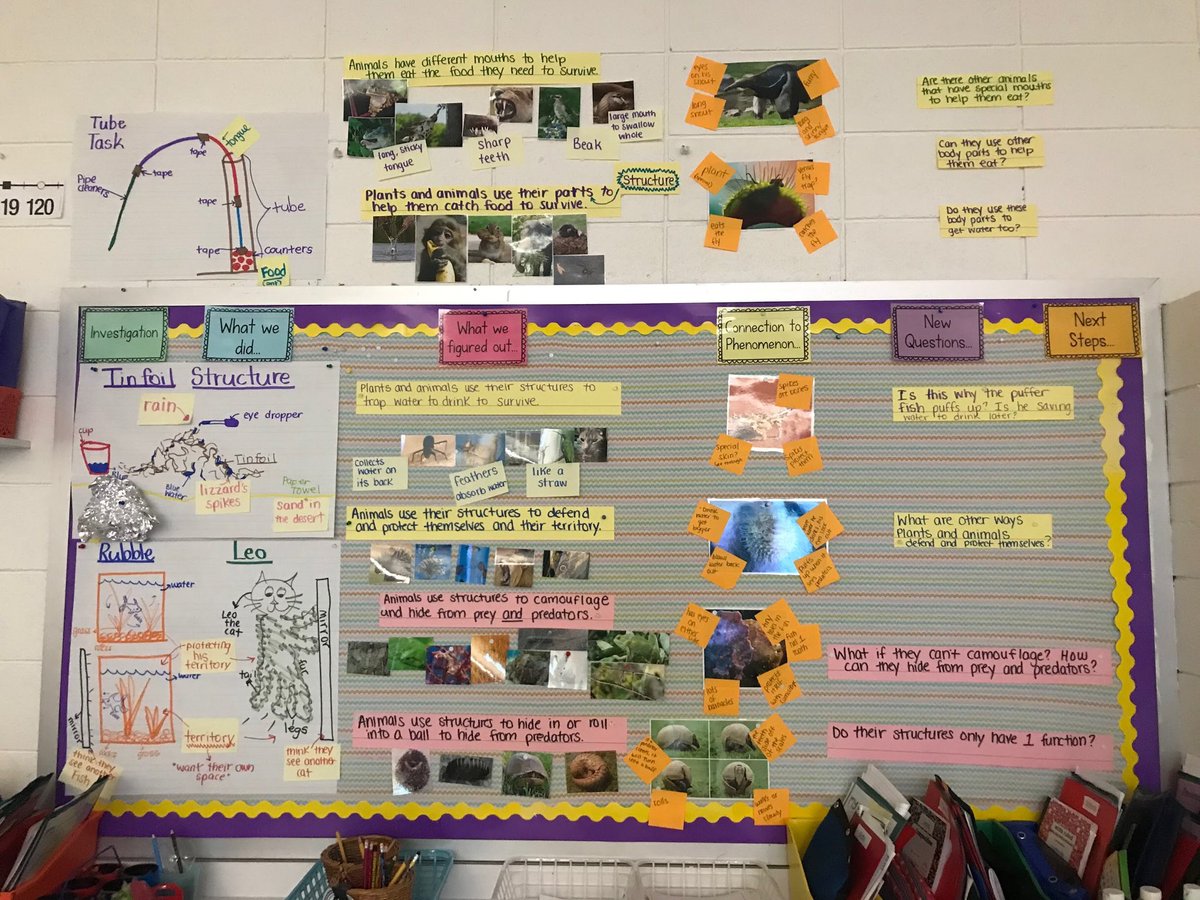tjscience's tweet photo. Manuscript submitted today with @KSinoradzki about a 1st grade unit created for #ngss. Students begin with the question “Why do some animals look so weird?” Rather than learn facts about animals, students engage with images of animals that have interesting & perplexing features. https://t.co/lEVJ1gdCLz