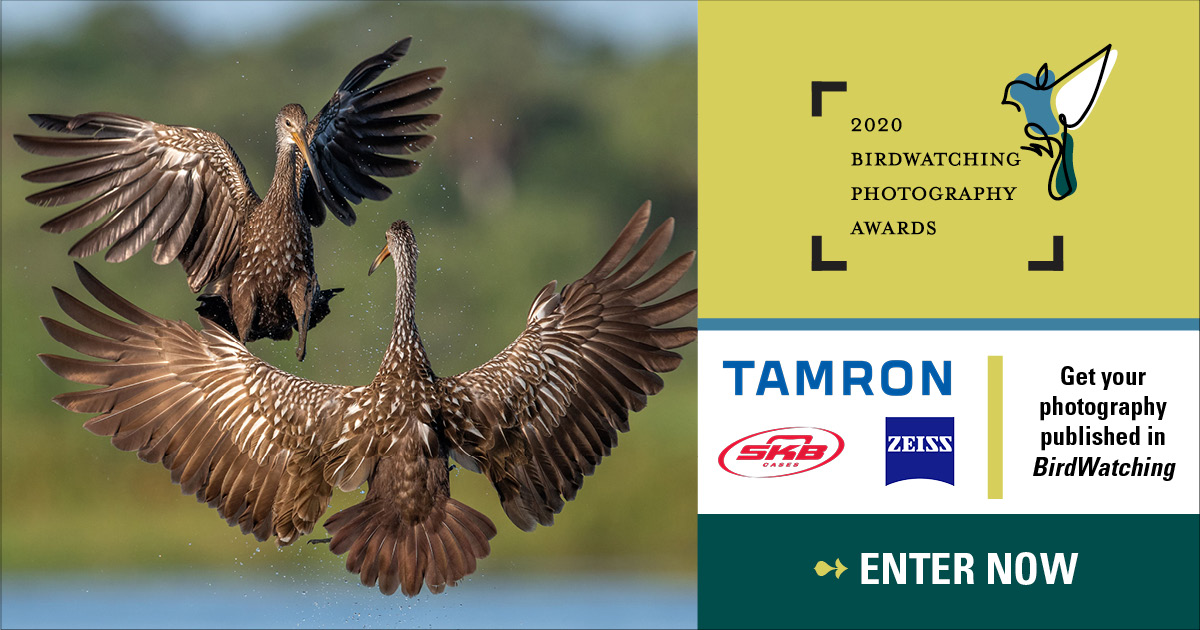 Outdoor Photographer tweet media