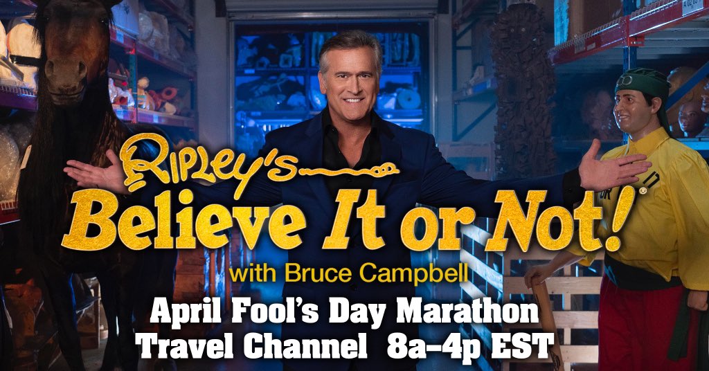 GroovyBruce's tweet image. Don’t be a fool!