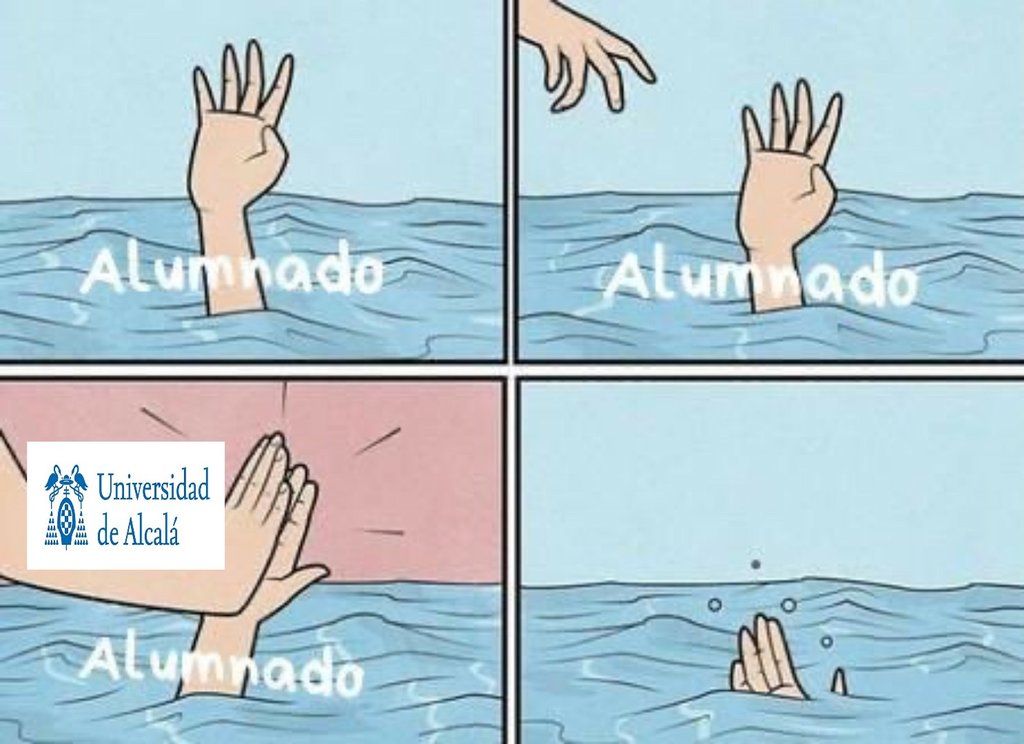 tonialonso_'s tweet photo. Lo siento, lo he visto y lo tenía que hacer https://t.co/yJMuRXZ4PF