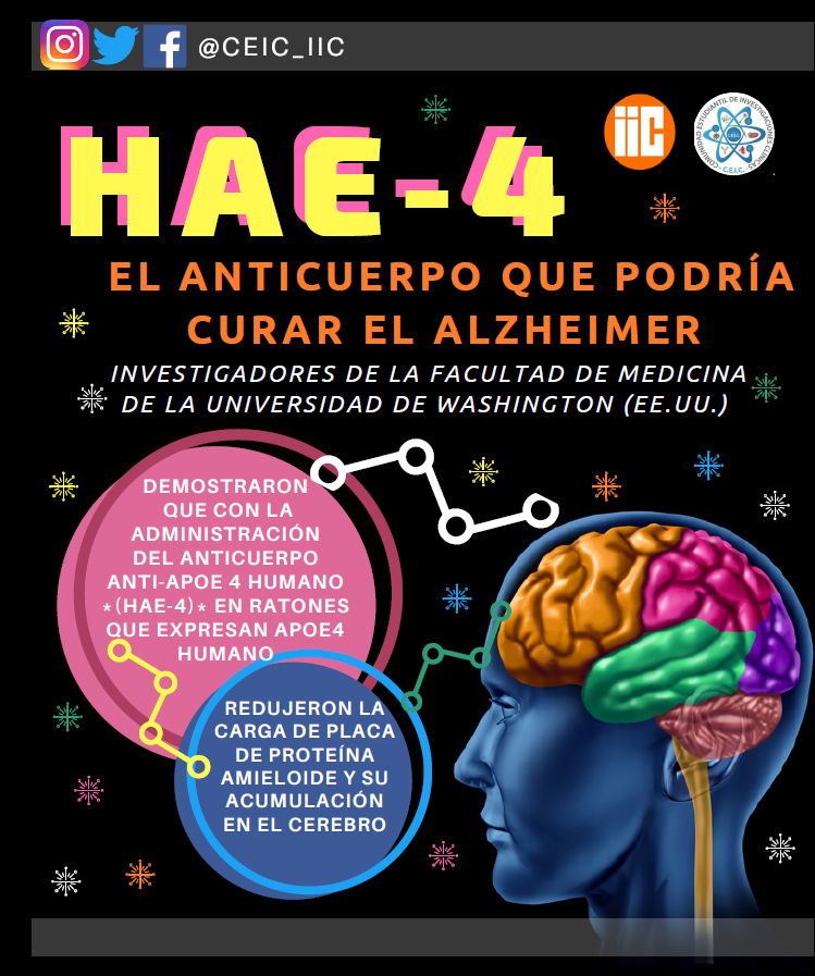 CEIC_IIC's tweet photo. Se demostró que tanto con la administración intracerebroventricular e intraperitoneal, HAE-4 reducía la deposición de placa amieloide en ratones.

Fuente: Liao F. et al. 2018 Targeting of nonlipidated, aggregated apoE with antibodies inhibits amyloid accumulation. JOCI. https://t.co/LfgRmWF66v