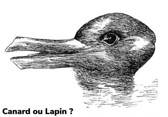 Que vois-tu en premier ?