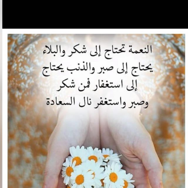 Mansour Sabry tweet media
