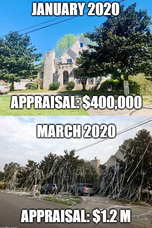 There are better ways to increase your curb appeal... 🧻

Call us today if you are buying or selling a home! (502) 585-5626

#toiletpapercrisis